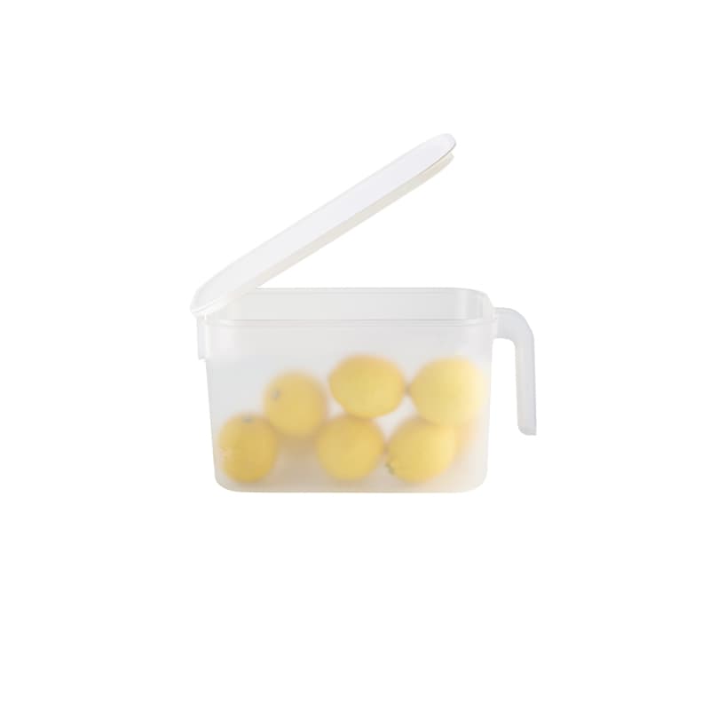 Fridge Storage Container