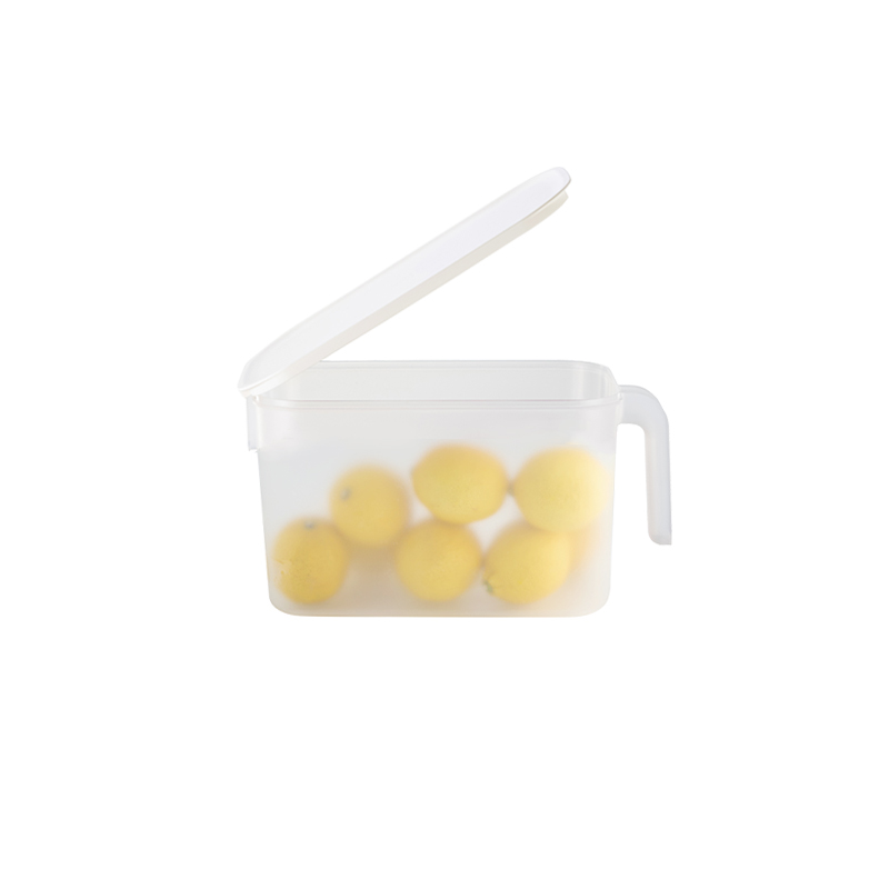 Fridge Storage Container